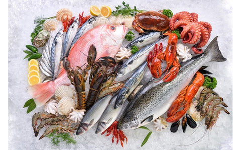 Exploring the Depths: Wild Caught vs. Farm-Raised Seafood