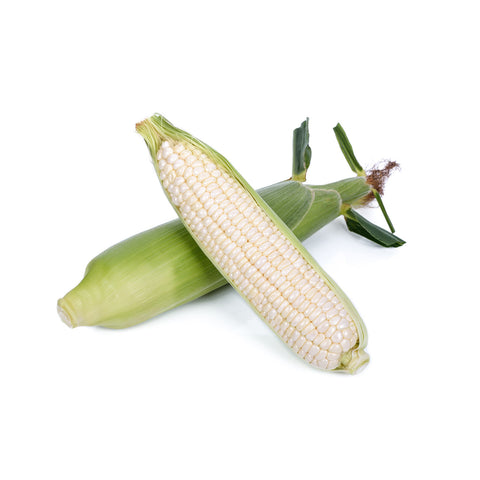 Japanese Pearl Corn