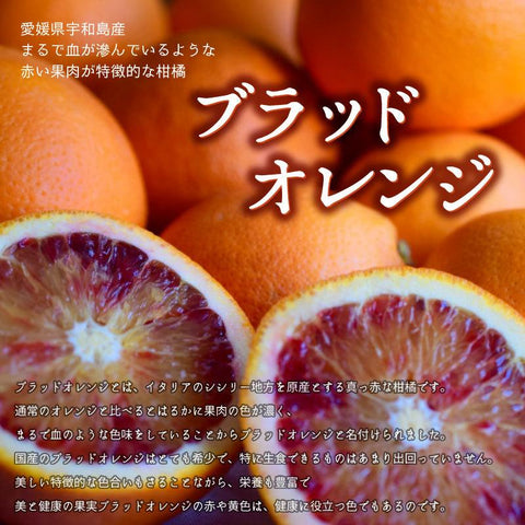 Blood Orange (Ehime, Japan)