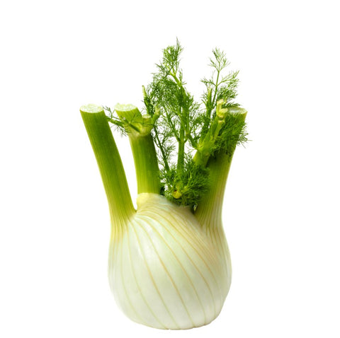 Fennel