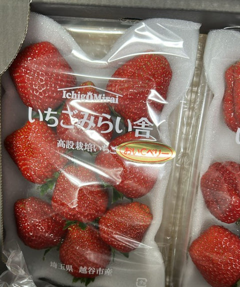 Red Strawberry (Japan)
