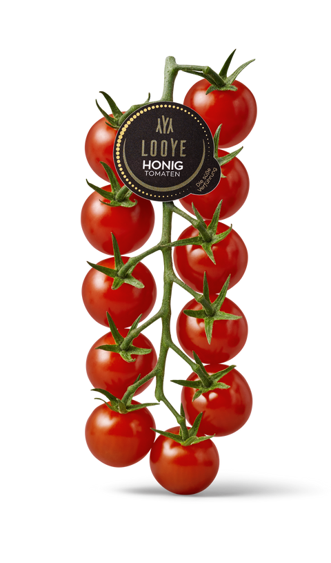 Honing Cherry Tomato on Vine