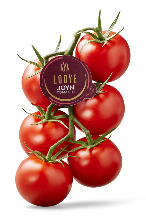Joyn Tomato on Vine