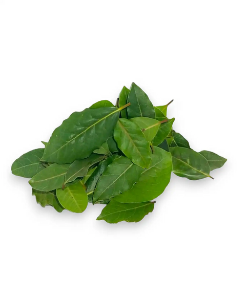 Bay Leaf