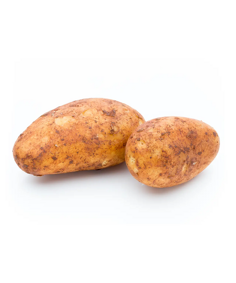 Russet Potato