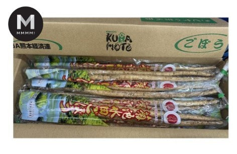 Japanese Burdock ごぼう