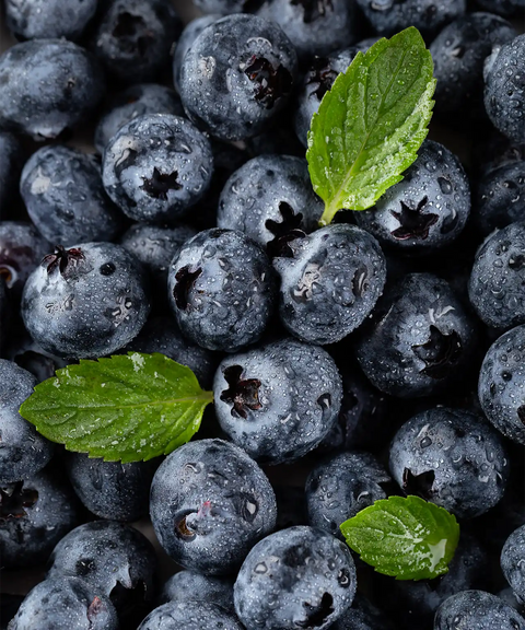 Premium Blueberry (Jumbo)