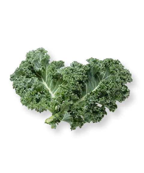 Lake Howard Farm Kale