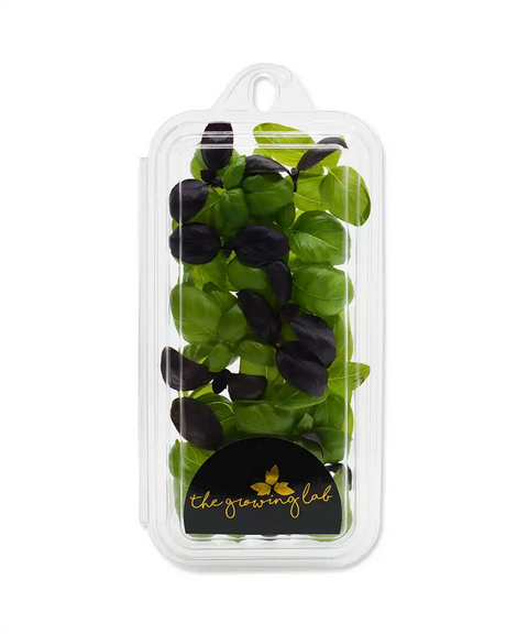 Mix Basil Microgreen Herb