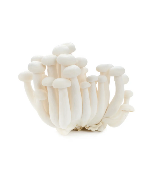 White Shimeji Mushroom