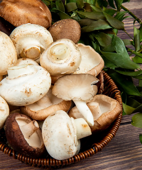 Mushrooms | Mmmm! Singapore