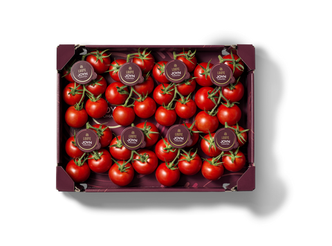 Joyn Tomato on Vine