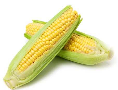 Sweet Corn