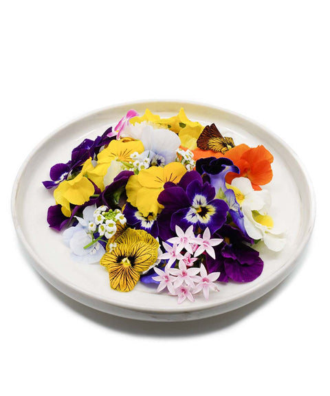 Assorted colorful edible flowers on a white plate with a white background