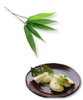 Dessert on a brown plate with green leaves on a white background
