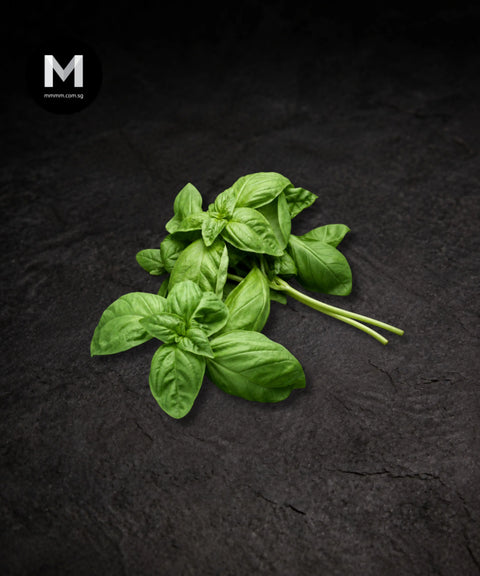 Fresh Basil Herbs (20g)