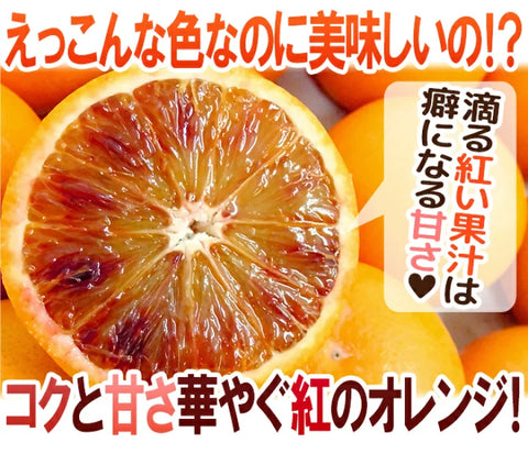 Blood Orange (Ehime, Japan)