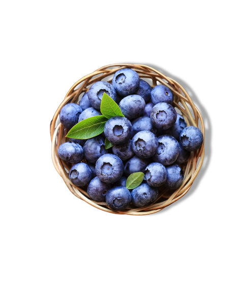 Premium Blueberry (Jumbo)