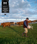 Cape Grim Tasmania pastures where grass-fed Angus cattle are raised