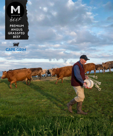 Cape Grim Tasmania pastures where grass-fed Angus cattle are raised