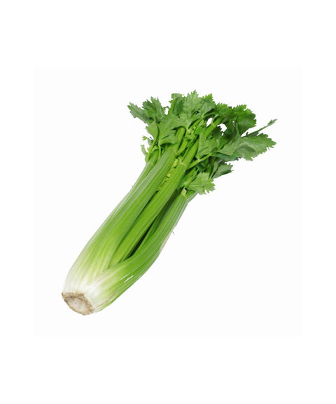 Celery