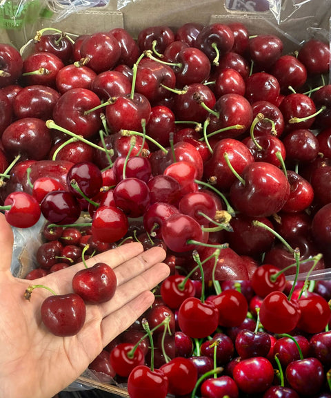 Fresh Cherry (South Africa)