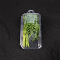 Fresh Chervil | Mmmm Singapore