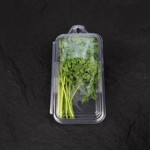 Fresh Chervil | Mmmm Singapore