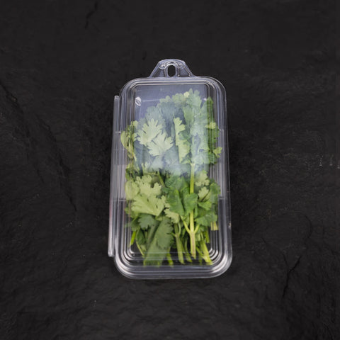 Coriander | Mmmm! Singapore