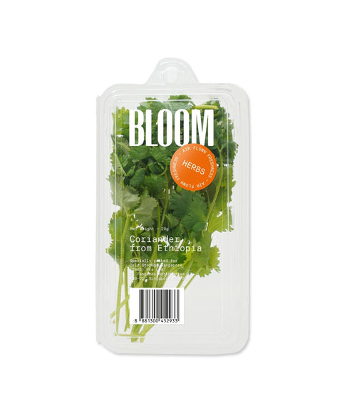 Coriander