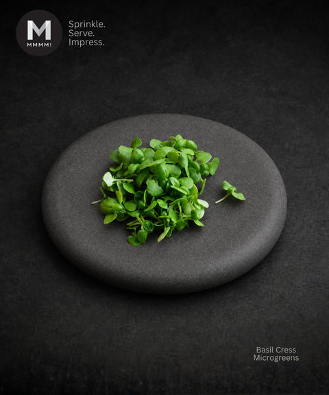 A small pile of bright green basil cress microgreens sits on a round dark gray stone plate against a dark textured background. The MMMMI logo appears in the top-left corner, and the text 'Basil Cress Microgreens' appears in the bottom-right.