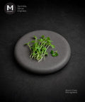 A small bunch of fresh green broccoli cress microgreens sits on a round dark gray stone plate against a dark textured background. The MMMMI logo appears in the top-left corner, and the text 'Broccoli Microgreens' appears in the bottom-right.