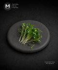 A small bunch of fresh green coriander cress microgreens sits on a round dark gray stone plate against a dark textured background. The MMMM logo appears in the top-left corner, and the text 'Coriander Cress Microgreens' is printed in the bottom-right.