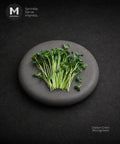 A small bunch of fresh green Daikon microgreens sits on a round gray stone plate against a dark textured background. The MMMMI logo appears in the top-left corner, and the text 'Daikon Cress Microgreens' appears in the bottom-right. Daikon Cress is a little spicy and will be best paired with Sashimi and smoked Salmon.