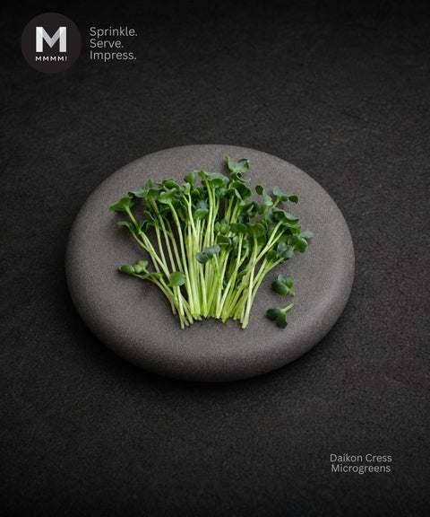 A small bunch of fresh green Daikon microgreens sits on a round gray stone plate against a dark textured background. The MMMMI logo appears in the top-left corner, and the text 'Daikon Cress Microgreens' appears in the bottom-right. Daikon Cress is a little spicy and will be best paired with Sashimi and smoked Salmon.