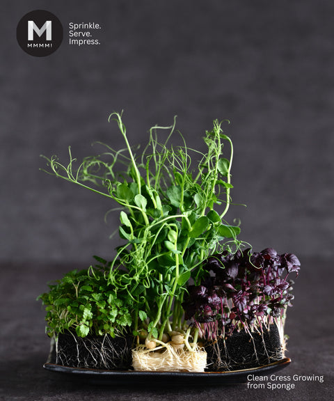 Pea Tendril Cress Microgreens