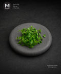 Fresh mustard green microgreens arranged on a round gray stone plate against a dark textured background, with MMMMI branding in the top left and the text 'Mustard Green Microgreens' in the bottom right.