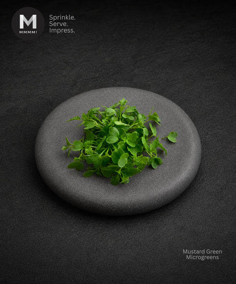 Fresh mustard green microgreens arranged on a round gray stone plate against a dark textured background, with MMMMI branding in the top left and the text 'Mustard Green Microgreens' in the bottom right.