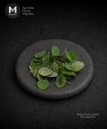Edible Nasturtium cut Leave on a plate.