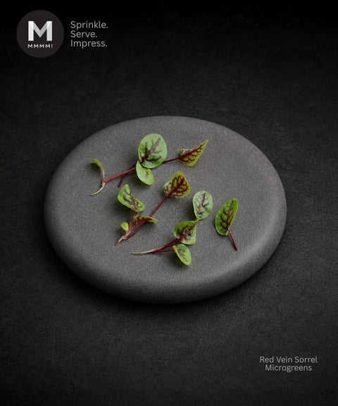 A round dark gray stone plate on a dark textured background, topped with several small green microgreens leaves with red Vein . The MMMMI logo appears in the top-left corner, and the text 'Red Vein Sorrel Microgreens' appears in the bottom-right.