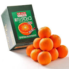 Blood Orange (Ehime, Japan)