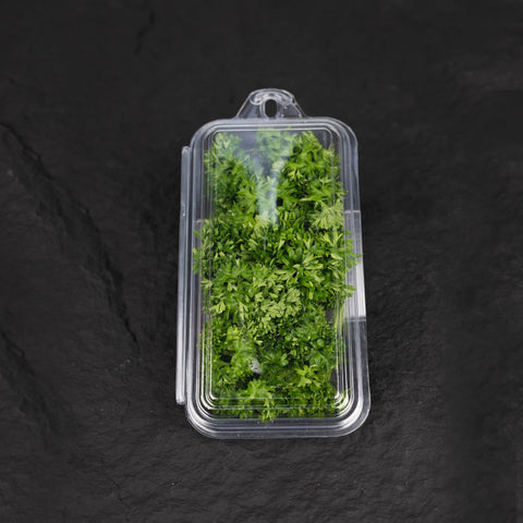 English Curly Parsley (20g)