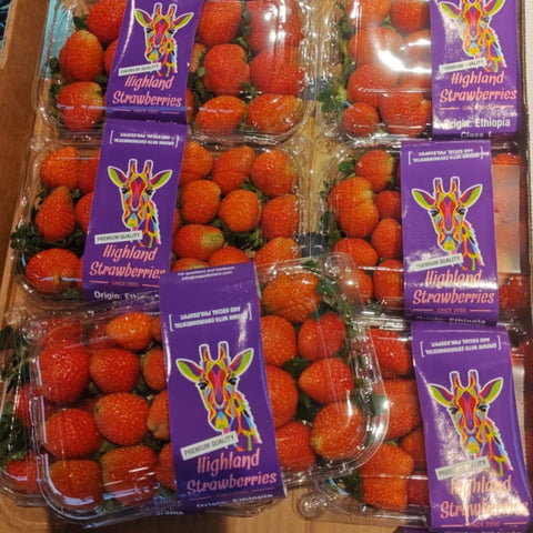 Strawberry (Premium from Ethiopia)