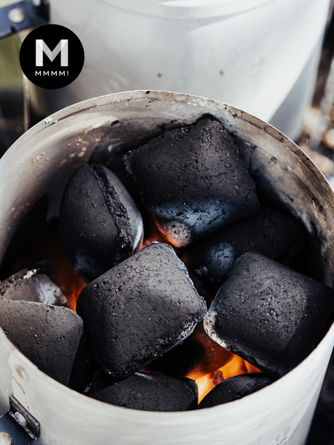 FYRO Coconut Charcoal