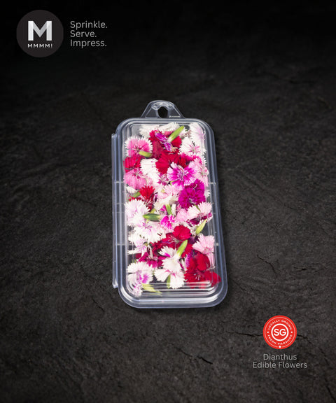 Dianthus Edible Flowers