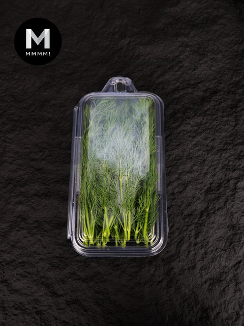 Fresh Dill (20g)