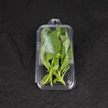 Fresh Basil | Mmmm Singapore