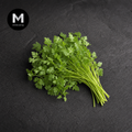 Fresh Chervil | Mmmm Singapore