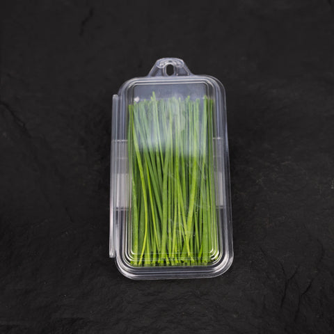 Fresh Chives | Mmmm! Singapore