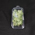 Fresh Marjoram | Mmmm Singapore
